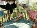 gibbon (46)